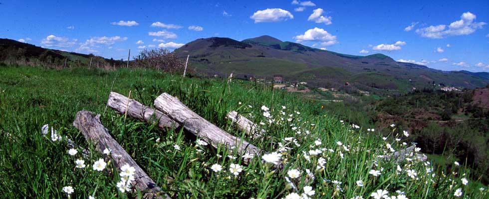 Agriturismo Sorripe Montelaterone Exterior foto
